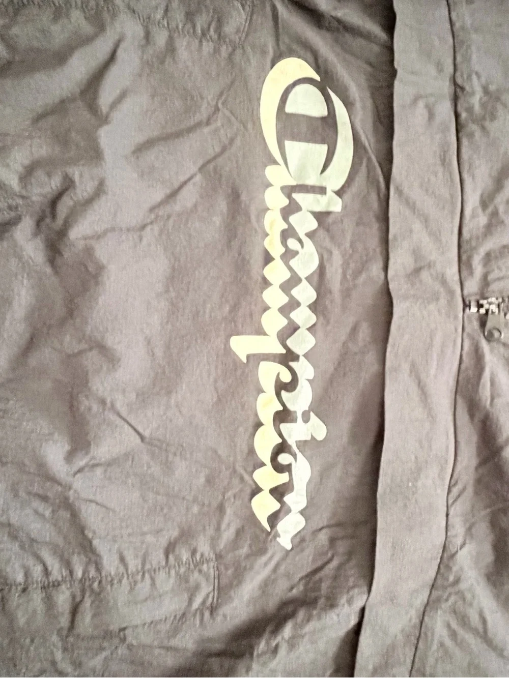 Champion Black Half-Zip Pullover with Logo
